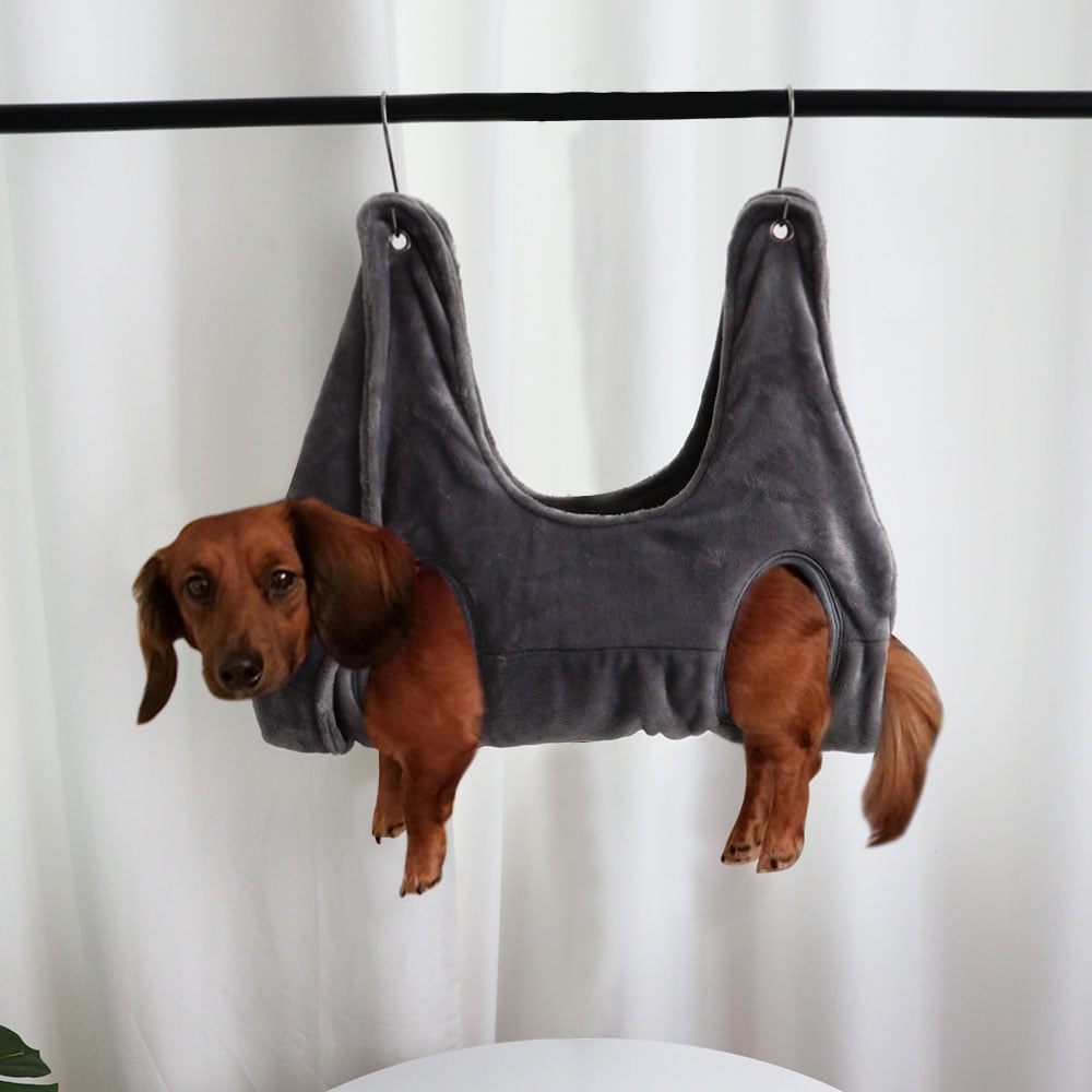 Dog wearing a gray vest hammock hanging on a black rod against a white curtain background